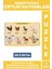 Premium Eğlenceli Eğitici Görsel Algı Problem Çözme Becerisi Çocuk Puzzle Çiftlik Hayvanları 1