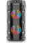 ZQS4271 Hoparlör 5