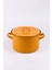 Rainpot Tencere 20CM 2