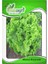 Sunagri Kıvırcık Marul Tohumu - Gevrek Yapraklı Sıcak Toleranslı Sofralık Kalite 1