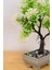 Dekoratif Saksılı Yapay Kasımpatı Ağacı Beyaz 25 cm EVA-5696 C1-1-423 3