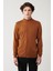 Erkek Kamel Yarım Balıkçı Yaka Tüylenmeyen Triko Regular Fit Kazak E005001 2