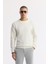 Erkek Ekru Bisiklet Yaka Jakarlı Elastan Sweatshirt A51y1228 1