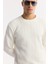 Erkek Ekru Bisiklet Yaka Jakarlı Elastan Sweatshirt A51y1228 2