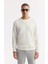 Erkek Ekru Bisiklet Yaka Jakarlı Elastan Sweatshirt A51y1228 5