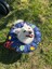 Kedi ve Köpek Operasyon Boyunluk,yakalık,yastık (Xl Dış Çap: 45 Cm) % 100 Koruma Kumaş Huni Model 02 4