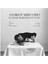 Andrew Bird - Sunday Morning Put-On -Plak 1
