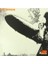 LED Zeppelin-Led Zeppelin I -Plak 1