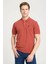 Erkek Regular Fit Polo Kiremit Erkek Kısa Kol T-Shirt 1