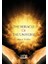 The Miracle Of The Universe 1