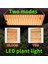 Kapalı Bitkiler Için Işık Büyümeye Yol Açtı Phyto Lamba Kuantum Fide Büyümek Tam Spektrum Kurulu Büyüme Işıkları 50W-(H2)US Plug (Yurt Dışından) 5