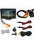 Arka Görüş Kamerası Geniş Derece 4,3 Inç Tft LCD Ekran Veya Monitör Su Geçirmez Gece Görüş Ters Yedekleme, Monitör (Yurt Dışından) 5