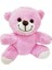 Sevimli Peluş Pembe Ayıcık Tdrtr 2