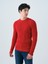 Regular Fit Erkek Kazak 1