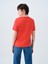 Regular Fit Kadın Tshirt K.kol 3