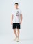 Regular Fit Erkek Tshirt K.kol 2
