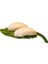 Aynalı Monstera Diş Fırçası Tutucu (Yurt Dışından) 3
