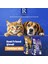 Yetişkin Kedi Maması Somonlu - Derma Care Adult Cat Food Salmon & Hypoallergenic 3