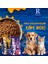 Yetişkin Kedi Maması Somonlu - Derma Care Adult Cat Food Salmon & Hypoallergenic 4