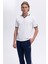 Streç Pamuklu Regular Fit Şerit Detaylı Polo Yaka T Shirt Erkek Polo Yaka T Shirt EM491 1
