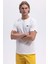 Pamuk Regular Fit Bisiklet Yaka T Shirt Erkek T Shirt EM461 3