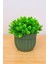Dekoratif Saksılı Yapay Büyük Top Çiçek Haki 14 cm EVA-5791 C1-1-423 1