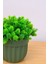 Dekoratif Saksılı Yapay Büyük Top Çiçek Haki 14 cm EVA-5791 C1-1-423 2