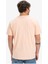 Ev Gradıent Box Ss Erkek Tişört Turuncu EQYZT08045-MEF0 3