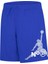 Nıke Jordan Jdb 1984 Jumpman Mesh Short Erkek Çocuk Şort 1