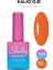 10 ml A163 Kalıcı Oje 1