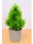 Dekoratif Saksılı Yapay Yılbaşı Ağacı Bej 18 cm EVA-5818 C1-1-423 1