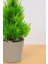 Dekoratif Saksılı Yapay Yılbaşı Ağacı Bej 18 cm EVA-5818 C1-1-423 2
