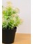 Dekoratif Saksılı Yapay Kasımpatı Çiçeği Beyaz 22 cm EVA-5821 C1-1-423 2