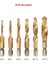 M10 S Gümüş El Dokunun Matkap Uçları Hss 4341 Vida Spiral Nokta Konu M3 M4 M5 M6 M8 M10 Metal Işleme Hex Shank Makine Kılavuzları Kiti Metrik Fiş (Yurt Dışından) 3