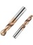 HRC55 2.9mm Tooleye HRC55° Tungsten Karbür Matkap Uçları Cnc Torna Paslanmaz Çelik Delme Sert Metal Işleme Aracı Için Metal Matkaplar 0.5-20.0mm (Yurt Dışından) 3