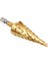 4-20 mm Hss Spiral Yivli Titanyum Kaplamalı Adım Matkap Ucu Spiral Flüt Hex Shank Ahşap Metal Delik Kesici Evrensel Elektrikli El Aletleri 4-12/20/32 (Yurt Dışından) 5
