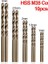 10 Adet Hss M35 Takı Zanaat El Pin Delik Matkap Kuyumcular Burs Sondaj Raybası Chuck Kelepçe 0.3-3.6mm Mini El Büküm Matkap 7*0.75 Chuck (Yurt Dışından) 1