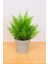 Dekoratif Saksılı Yapay Kuşkonmaz Çiçeği Bej 22 cm EVA-5822 C1-1-423 1