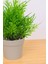 Dekoratif Saksılı Yapay Kuşkonmaz Çiçeği Bej 22 cm EVA-5822 C1-1-423 2