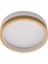 Plafonia Tavan Plafonyer LED Avize 20 cm 12 Watt 2