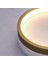 Plafonia Tavan Plafonyer LED Avize 20 cm 12 Watt 4