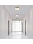 Plafonia Tavan Plafonyer LED Avize 20 cm 12 Watt 5