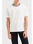 Şerit Detaylı Pamuk Regular Fit Sıfıt Yaka T Shirt Erkek T Shirt EM000853 AF12926 U0003 1