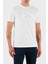 Pamuk Regular Fit Bisiklet Yaka Logolu T Shirt Erkek T Shirt 50531309 102 1