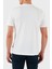 Pamuk Regular Fit Bisiklet Yaka Logolu T Shirt Erkek T Shirt 50531309 102 2