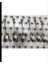 6'lı Gerçek Gümüş Çay Kaşık 77GRAM Keyif Çiçek Motif Sap Şık Zarif Set 11CM 800 Ayar Kaliteli 2