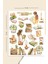 Vintage Brown Kahverengi 5li Sticker Set 4