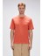 25.01.07.036 Erkek T-Shirt 1