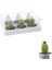 Sarı Mini 5,5x3,5 cm Kase Lokumluk Reçellik Tealightlık Mumluk Cam Kaktüs Tealight Mum 1 Adet 3