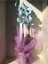 Mavi Pembe Orkide Çift Dallı Phalaenopsis Canlı Çiçek 1